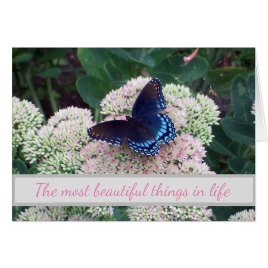 Les nouveaux endroits difficiles pour les papillon (Devant horizontal)