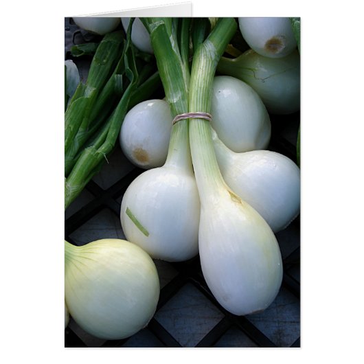 Les oignons au marché des fermiers (Devant)