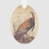 Les oiseaux d'Amérique d'Audubon La Turquie sauvag (devant)