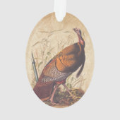 Les oiseaux d'Amérique d'Audubon La Turquie sauvag (dos)