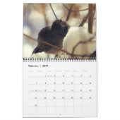 Les oiseaux dans votre calendrier de jardin (Feb 2027)
