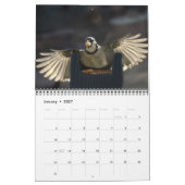 Les oiseaux dans votre calendrier de jardin (Jan 2027)