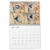 Les oiseaux dans votre calendrier de jardin (Mar 2027)
