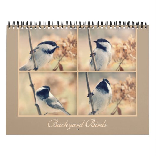 Les oiseaux dans votre calendrier de jardin (Protection)