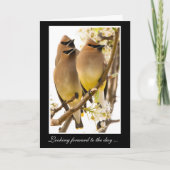 Les Oiseaux de cire de cèdre obtiennent une carte  (Devant)