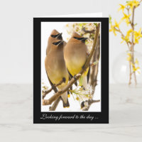 Les Oiseaux de cire de cèdre obtiennent une carte