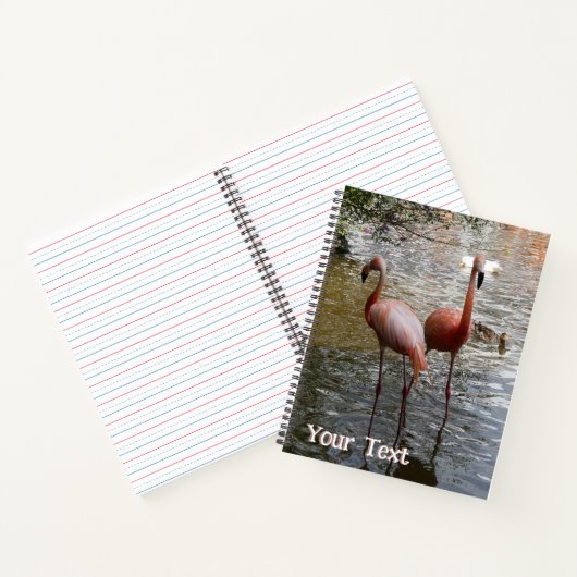 Les Oiseaux De Flamant rose Tropical Cust. Carnet  (Intérieur)