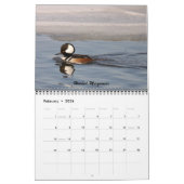 Les oiseaux de Forsythe - calendrier officiel de (Feb 2026)