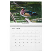 Les oiseaux du Pacifique Calendrier du Nord-Ouest  (Mar 2026)