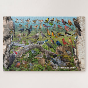 Les Oiseaux du Québec Legpuzzel