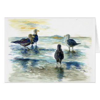 Les oiseaux marins sur la plage
