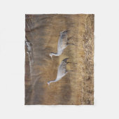 Les oiseaux Sandhill tend le cou la couverture (Devant)