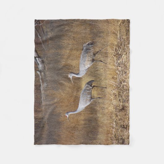 Les oiseaux Sandhill tend le cou la couverture (Devant)