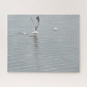 Les Oiseaux Sur Le Puzzle D'Eau (Horizontal)