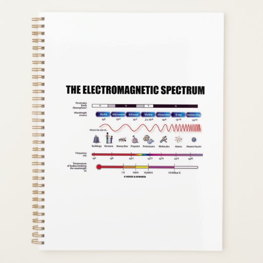 Les ondes de physique du spectre électromagnétique (Devant)