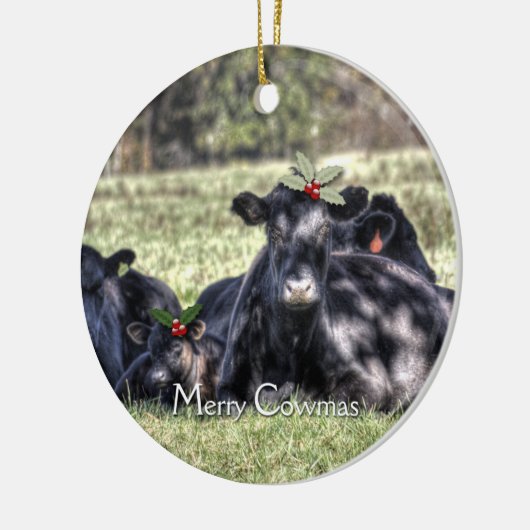 Les Ornements du Christ (Gauche)