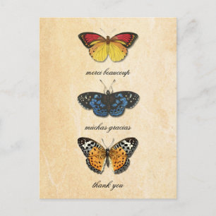 Les Papillons Dank u Briefkaart