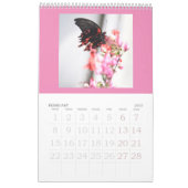Les papillons sont toujours libres - un Calendrier (Feb 2027)