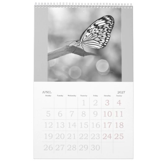 Les papillons sont toujours libres - un Calendrier (Apr 2027)