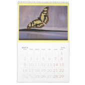 Les papillons sont toujours libres - un Calendrier (Mar 2026)