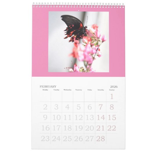 Les papillons sont toujours libres - un Calendrier (Feb 2026)