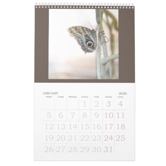 Les papillons sont toujours libres - un Calendrier (Jan 2026)