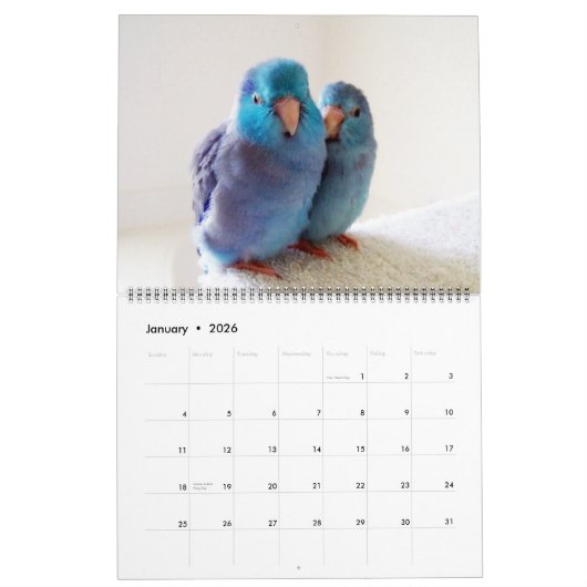 Les Parrotlets 2023 Calendrier des 12 ans (Jan 2026)