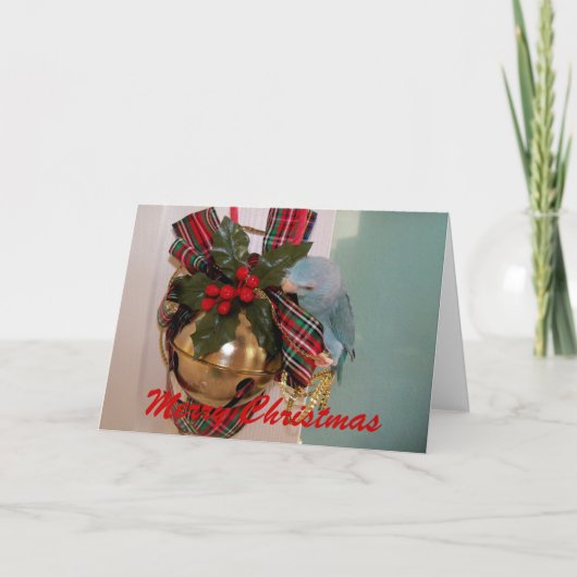Les Parrotlets Joyeux Noël Carte de voeux (Devant)