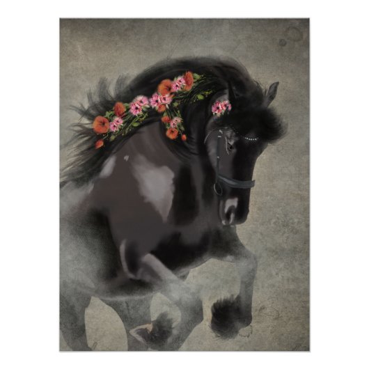 Les pavots et le friésien - Poster (Devant)