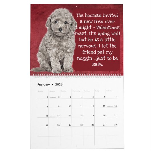 Les pensées de mon calendrier des poules (Feb 2026)