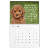 Les pensées de mon calendrier des poules (Jan 2026)