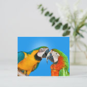Les perroquets dans Love Carte postale (Debout devant)