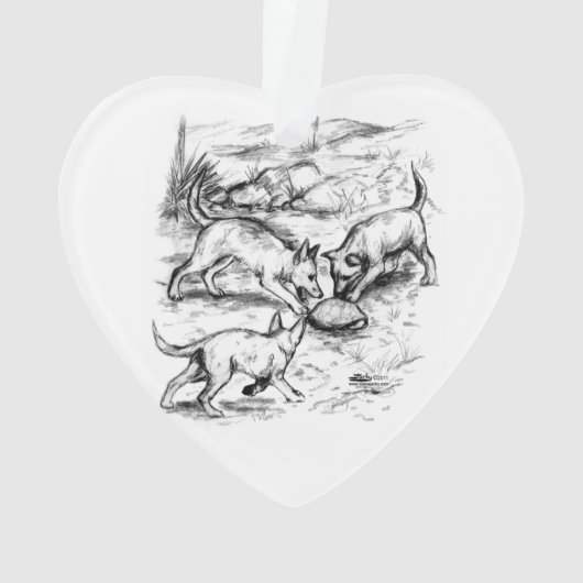 Les petits coyotes (dos)