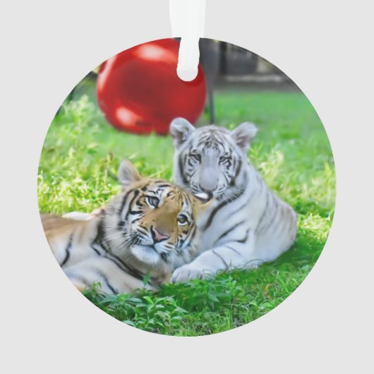 Les Petits Garçons - (dos)