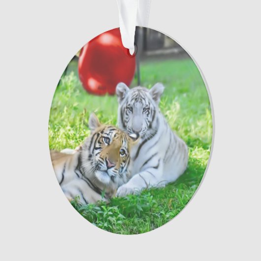 Les Petits Garçons - (devant)