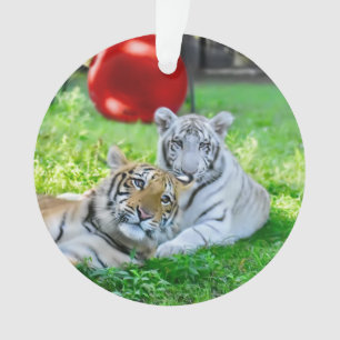 Les Petits Garçons -