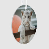 Les Petits Garçons - (devant)