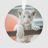 Les Petits Garçons - (devant)