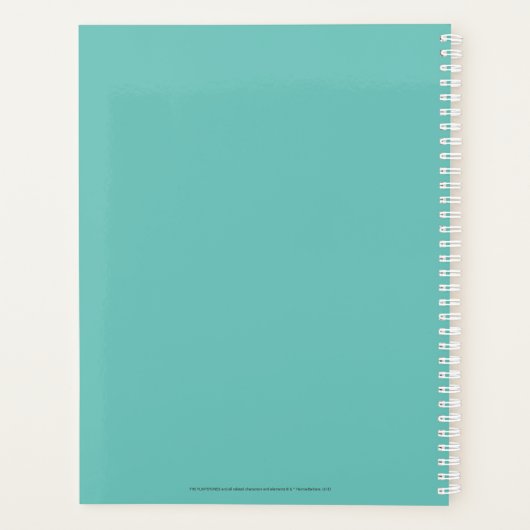 Les Pierrafeu | Pierre de caillou (Dos)