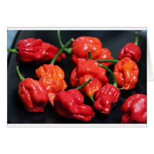 Les piments les plus chauds de scorpion du