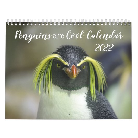 Les pingouins sont le Calendrier Cool 2022 avec de (Protection)