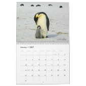 Les pingouins sont le Calendrier Cool 2022 avec de (Jan 2027)