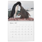 Les pingouins sont le Calendrier Cool 2024 avec de (Feb 2027)