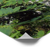 Les Pitons, Saint Lucia Poster (Hoek)