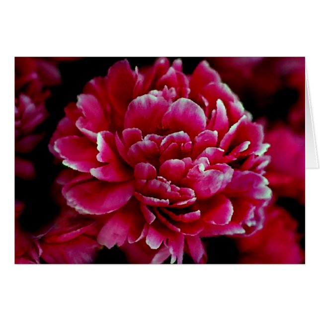 Les pivoines japonaises (Devant horizontal)