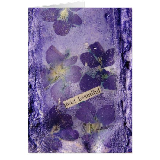 Les plus belles violettes violettes (Devant)