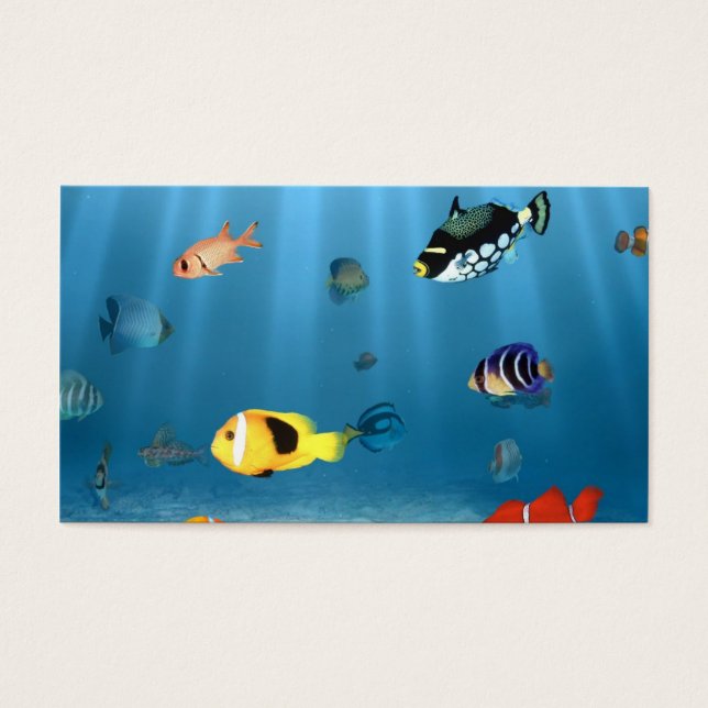 Les Poissons Dans L'Océan (Devant)