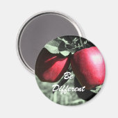 Les Pommes Rouges Soient Différents Aimants Motiva (Recto/Verso)