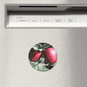 Les Pommes Rouges Soient Différents Aimants Motiva (In Situ (Lave-vaisselle))