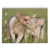 Les porcelets heureux 2015 - calendrier mignon de (Protection)